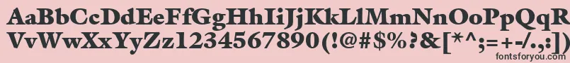 AcanthusBlackSsiExtraBlack Font – Black Fonts on Pink Background