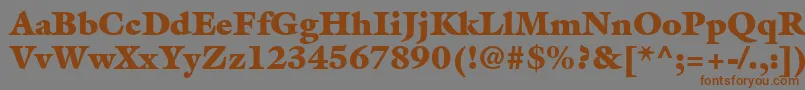AcanthusBlackSsiExtraBlack Font – Brown Fonts on Gray Background
