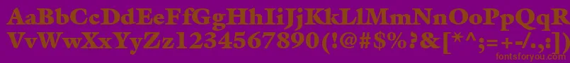 AcanthusBlackSsiExtraBlack Font – Brown Fonts on Purple Background