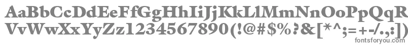 AcanthusBlackSsiExtraBlack Font – Gray Fonts on White Background