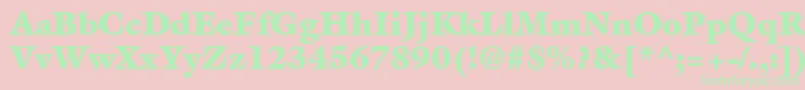 AcanthusBlackSsiExtraBlack Font – Green Fonts on Pink Background