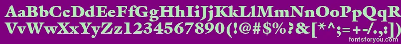 AcanthusBlackSsiExtraBlack Font – Green Fonts on Purple Background
