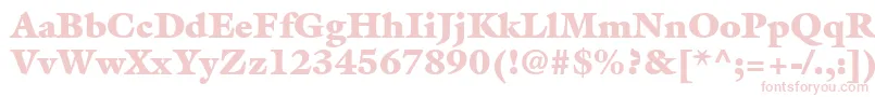 AcanthusBlackSsiExtraBlack Font – Pink Fonts on White Background