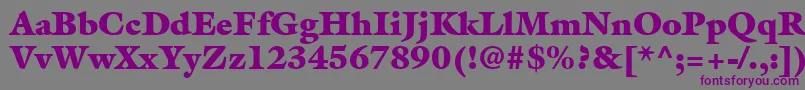 フォントAcanthusBlackSsiExtraBlack – 紫色のフォント、灰色の背景
