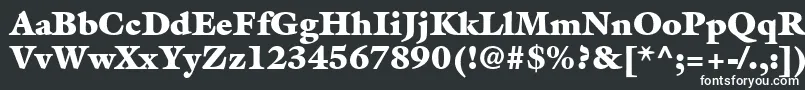 フォントAcanthusBlackSsiExtraBlack – 黒い背景に白い文字