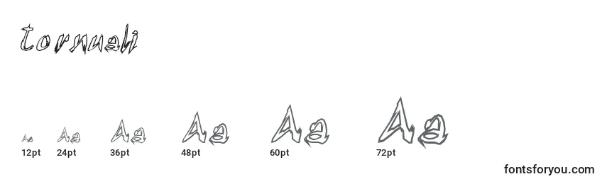 Размеры шрифта Tornuali