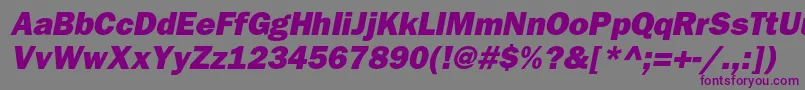 フォントBloknotheavycItalic – 紫色のフォント、灰色の背景