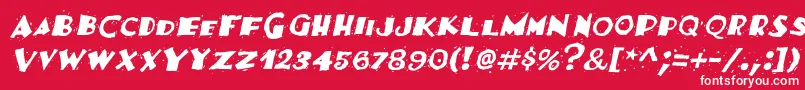 FestivasskItalic Font – White Fonts on Red Background