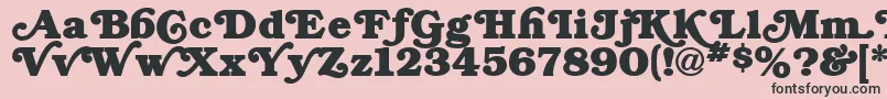 BryantRegular Font – Black Fonts on Pink Background