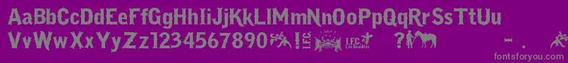 IfcLosBanditos Font – Gray Fonts on Purple Background