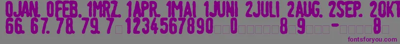 LinotypeTagesstempelFett Font – Purple Fonts on Gray Background