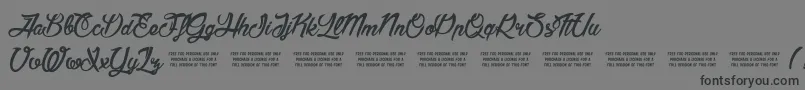 AmericaAndStars Font – Black Fonts on Gray Background