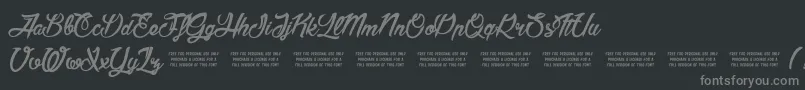 AmericaAndStars Font – Gray Fonts on Black Background