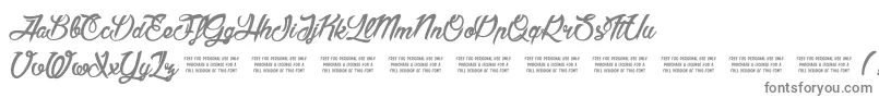 AmericaAndStars Font – Gray Fonts on White Background