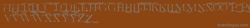 Euclidcp-Schriftart – Graue Schriften auf braunem Hintergrund