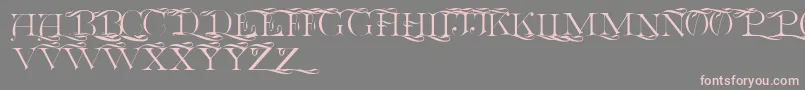 Euclidcp Font – Pink Fonts on Gray Background