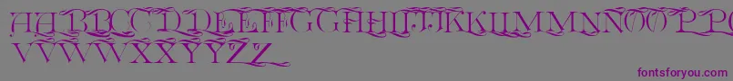 Euclidcp Font – Purple Fonts on Gray Background