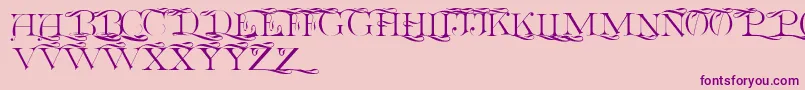Euclidcp Font – Purple Fonts on Pink Background