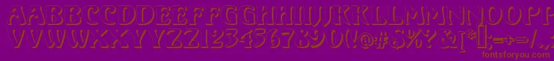 VoluteShadow Font – Brown Fonts on Purple Background
