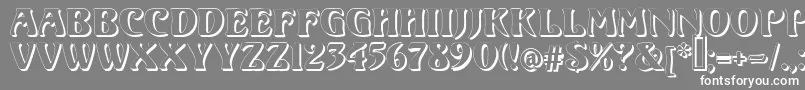 VoluteShadow Font – White Fonts on Gray Background
