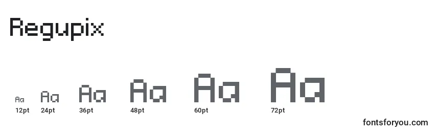 Regupix Font Sizes