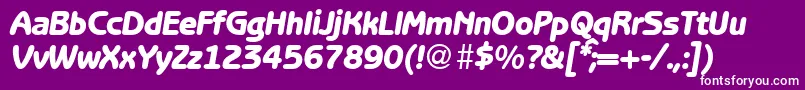 BenjaminsansheavyRegularitalic Font – White Fonts on Purple Background