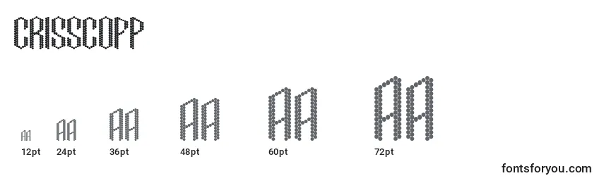 Размеры шрифта CrisscoFp