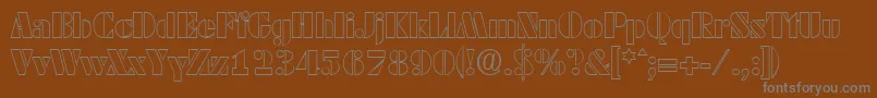 DekoblackopenSerialRegularDb Font – Gray Fonts on Brown Background