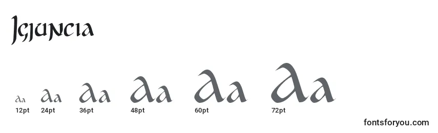 Размеры шрифта Jgjuncia