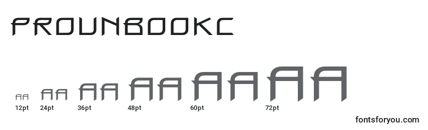 Размеры шрифта Prounbookc