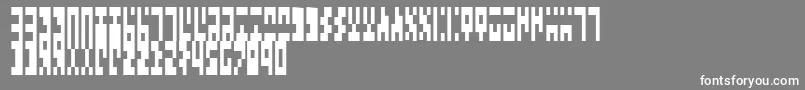 TimesNewAncient-Schriftart – Weiße Schriften auf grauem Hintergrund