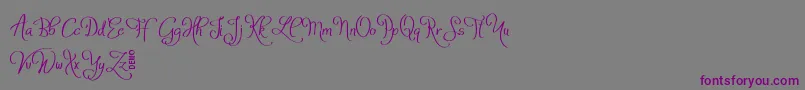 AtylaDemo Font – Purple Fonts on Gray Background