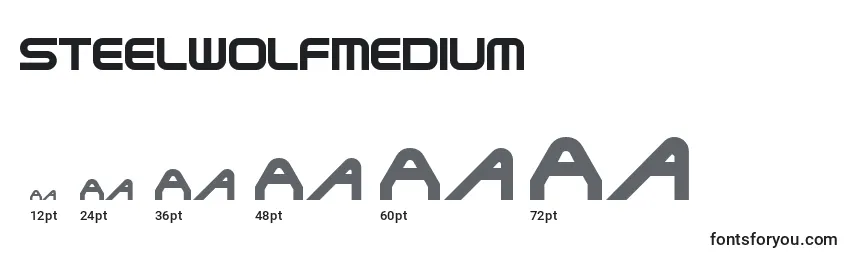SteelwolfMedium Font Sizes