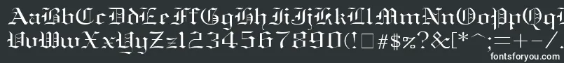 フォントOldenglish ffy – 白い文字