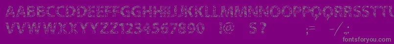 Vtks Flowers In Our Soul Font – Gray Fonts on Purple Background