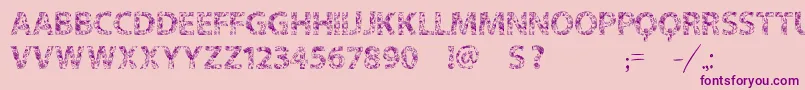Vtks Flowers In Our Soul Font – Purple Fonts on Pink Background
