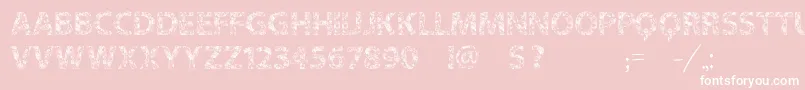 Vtks Flowers In Our Soul Font – White Fonts on Pink Background
