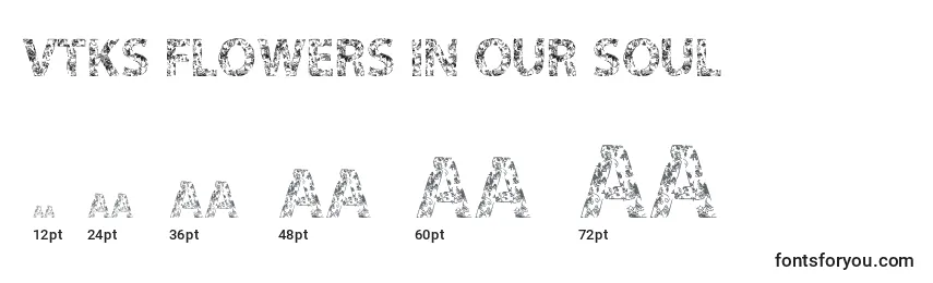 Vtks Flowers In Our Soul Font Sizes
