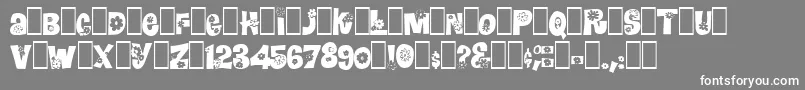 Blomster Font – White Fonts on Gray Background