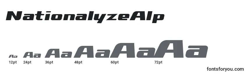 Размеры шрифта NationalyzeAlp