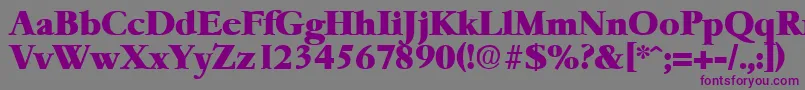 フォントGaremondHeavy – 紫色のフォント、灰色の背景