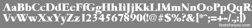 フォントGaremondHeavy – 灰色の背景に白い文字