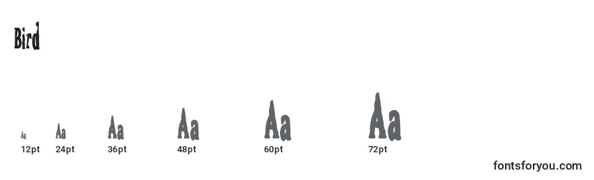 Bird Font Sizes