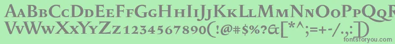 フォントSerapioniiscBold – 緑の背景に灰色の文字