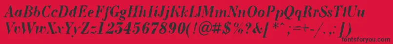 ABodoninovabrkBolditalic Font – Black Fonts on Red Background