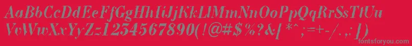 ABodoninovabrkBolditalic Font – Gray Fonts on Red Background