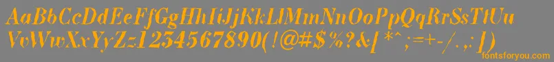 ABodoninovabrkBolditalic Font – Orange Fonts on Gray Background