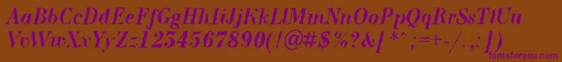 ABodoninovabrkBolditalic Font – Purple Fonts on Brown Background