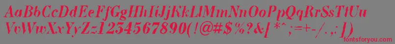 ABodoninovabrkBolditalic Font – Red Fonts on Gray Background