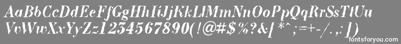 フォントABodoninovabrkBolditalic – 灰色の背景に白い文字